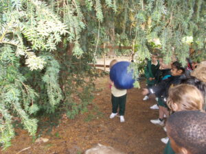 Pilgrims pupils find dragon's egg